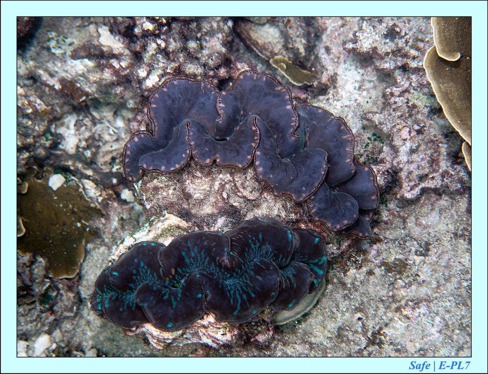 2015   07   Peranthian Islands 29